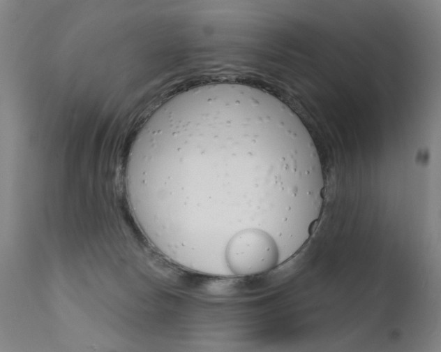 X0000111580178200907161205