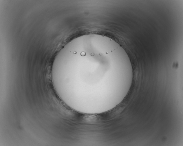 X0000111580181200907161205