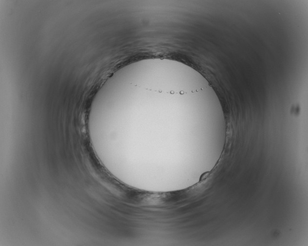 X0000111580182200907161205