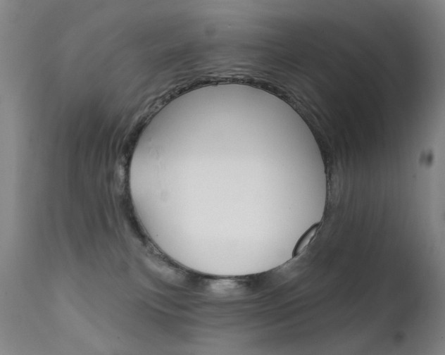 X0000111580183200907161205