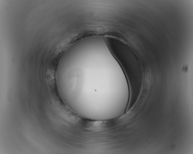 X0000111580184200907161205
