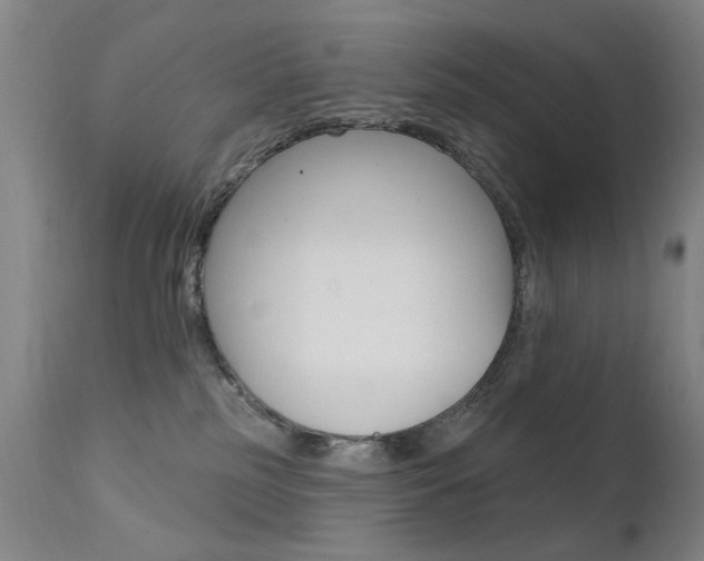 X0000111580185200907161205