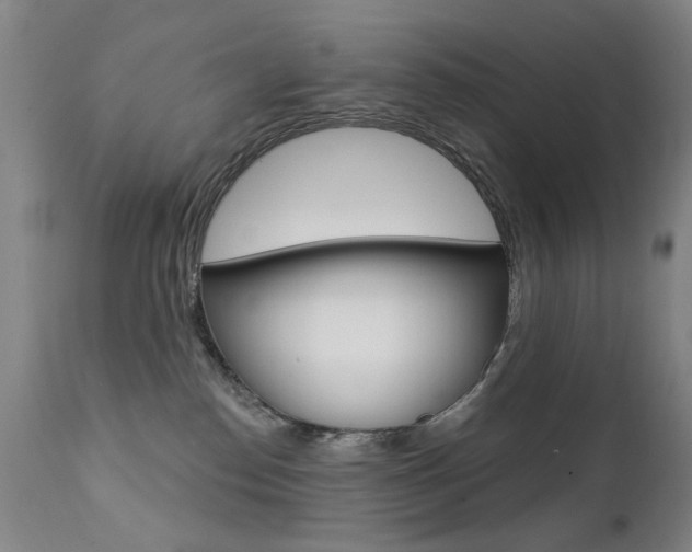 X0000111580186200907161205