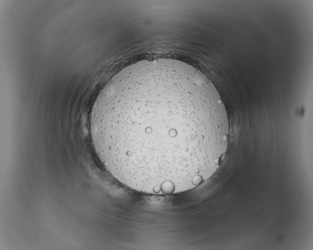 X0000111580187200907161205