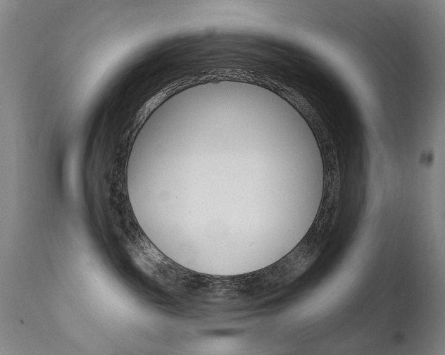 X0000111580189200907161205