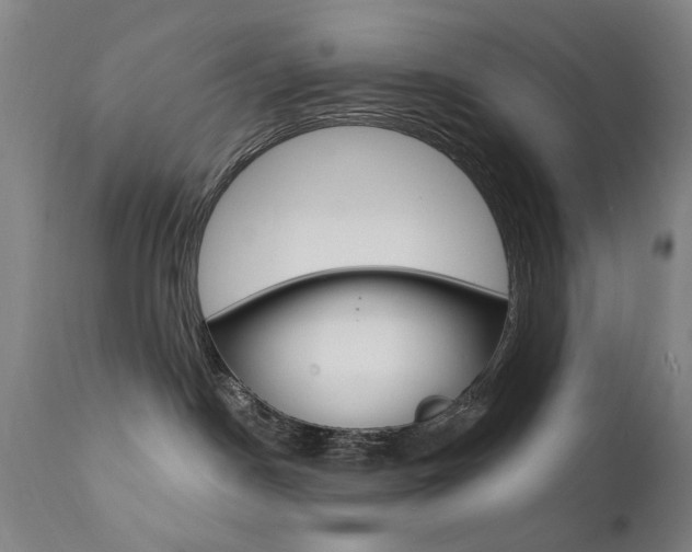 X0000111580190200907161205