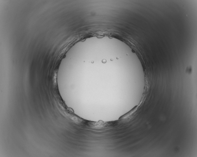 X0000111580191200907161205