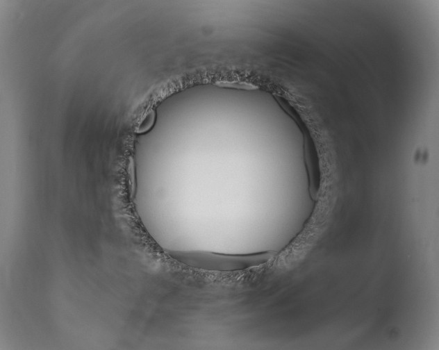 X0000111580192200907161205