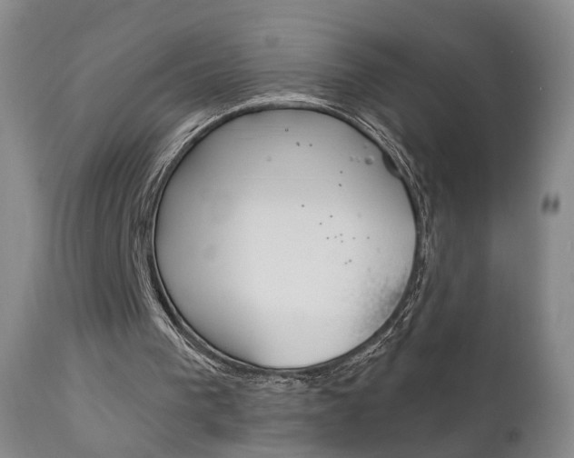 X0000111580193200907161204
