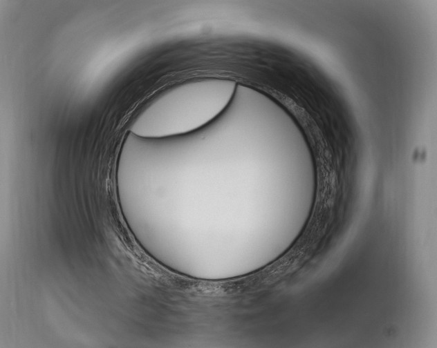 X0000111580194200907161204