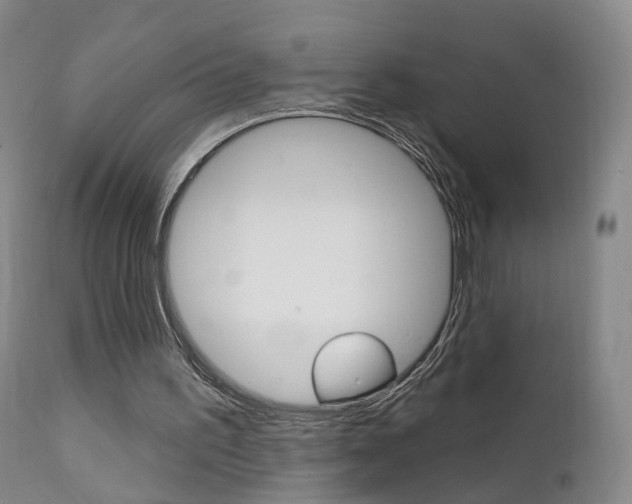 X0000111580195200907161204