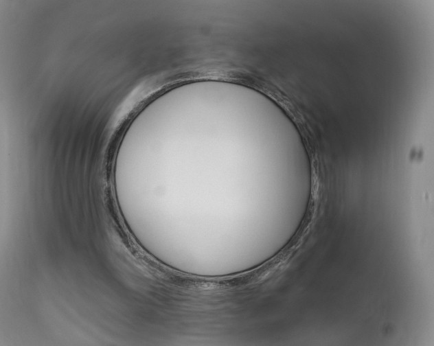 X0000111580198200907161204