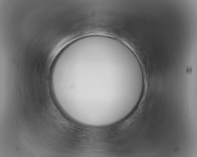 X0000111580199200907161204