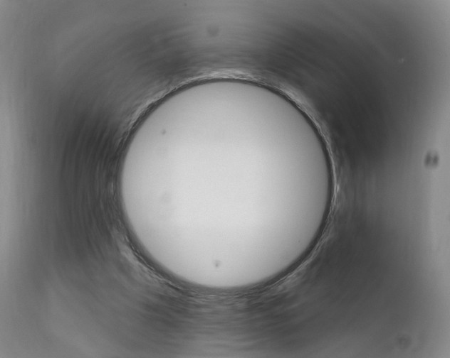 X0000111580201200907161204