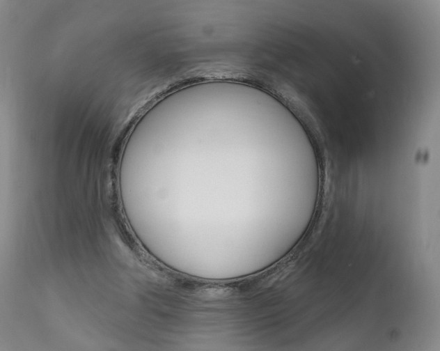 X0000111580202200907161204