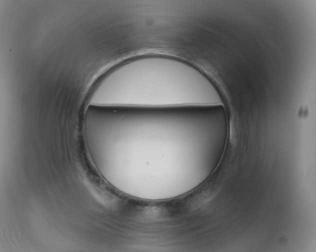 X0000111580204200907161204