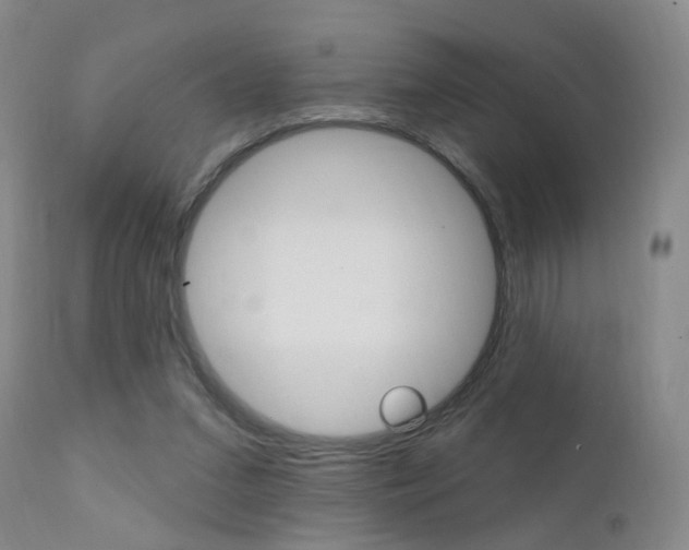 X0000111580207200907161204