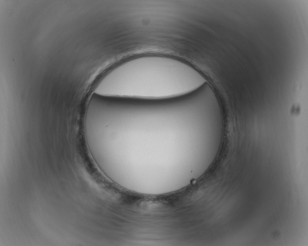 X0000111580208200907161204