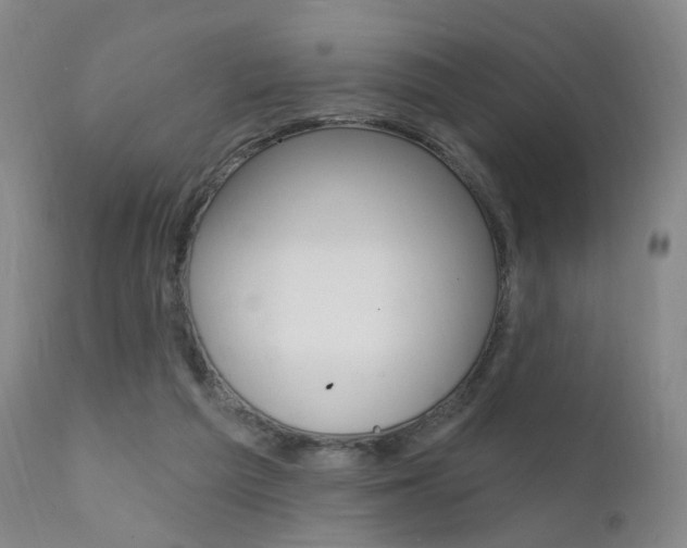 X0000111580209200907161204