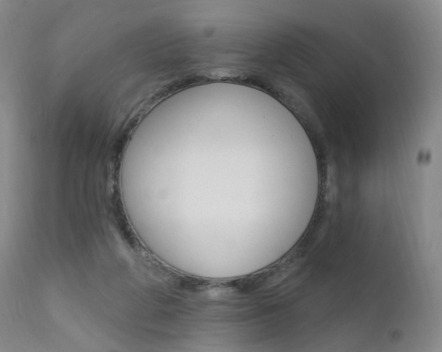 X0000111580210200907161204