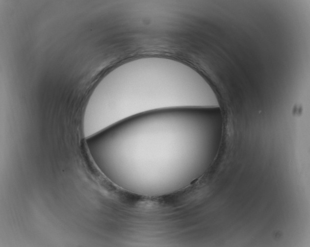 X0000111580211200907161204