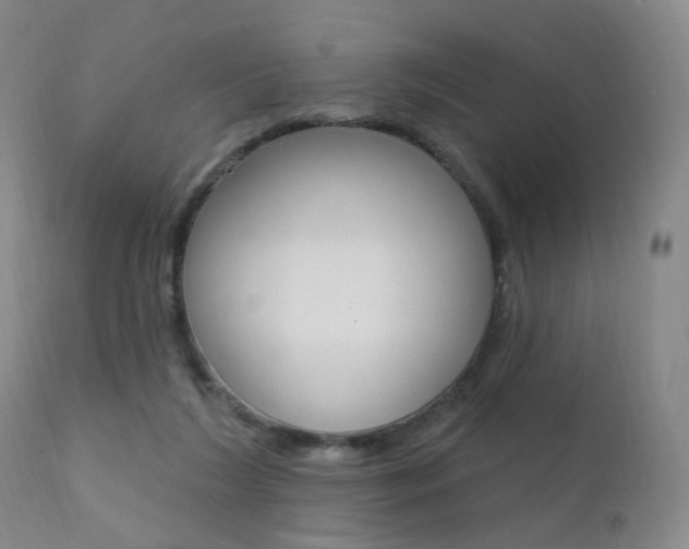 X0000111580212200907161204
