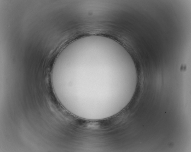 X0000111580214200907161204