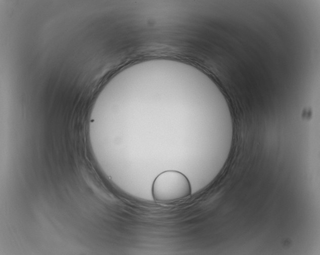 X0000111580215200907161204