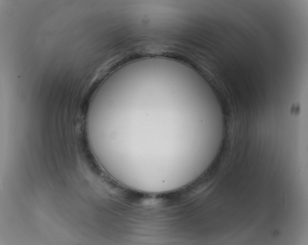 X0000111580216200907161204