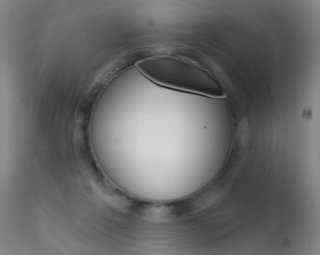 X0000111580217200907161204