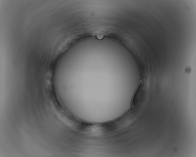 X0000111580219200907161204