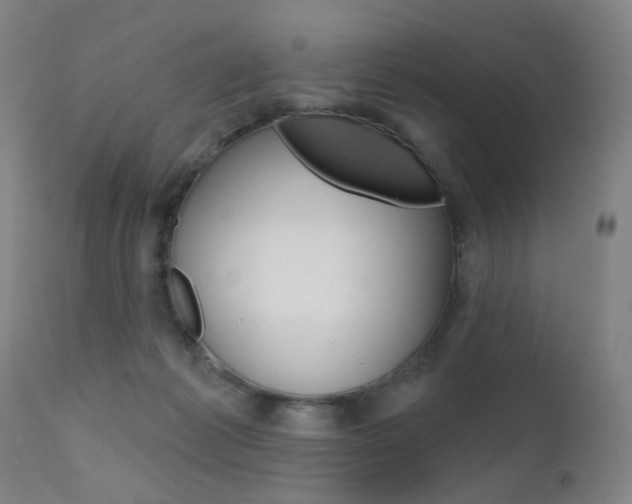 X0000111580221200907161204