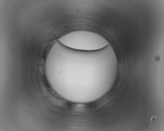 X0000111580222200907161204