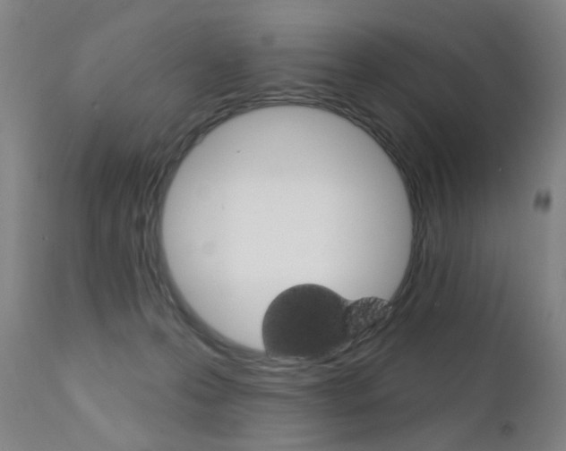 X0000111580223200907161204