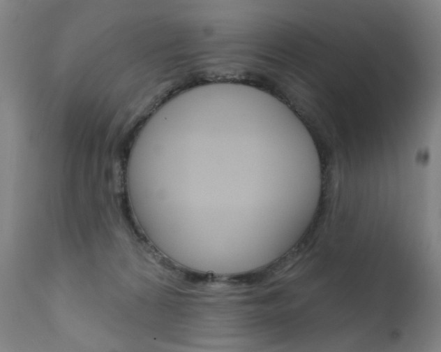 X0000111580224200907161204