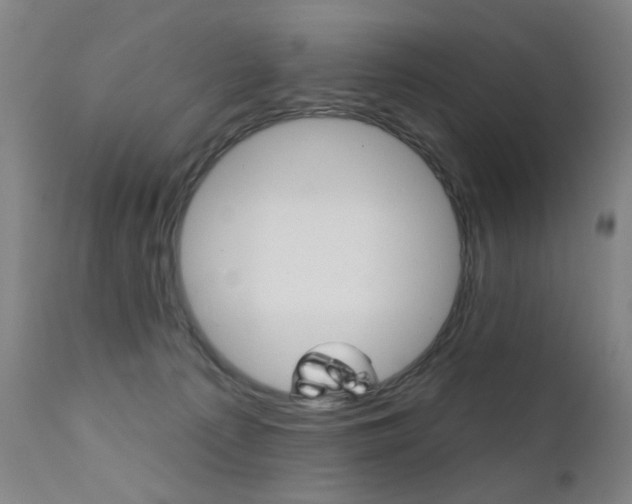 X0000111580225200907161204