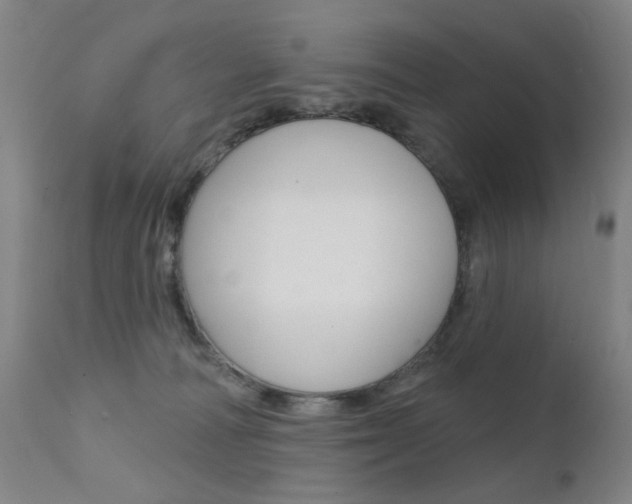 X0000111580226200907161204