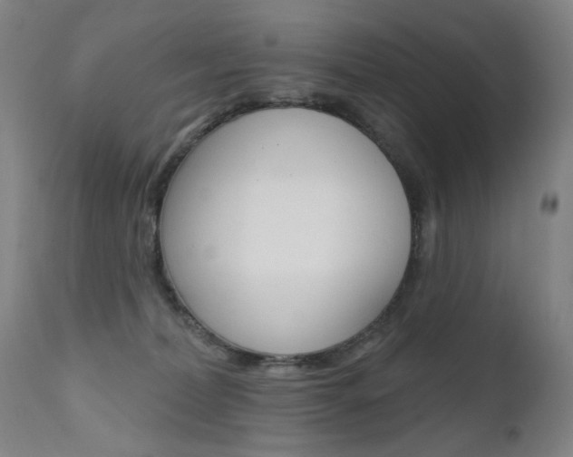 X0000111580228200907161204