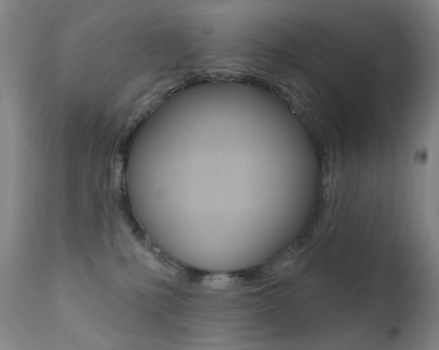 X0000111580231200907161204