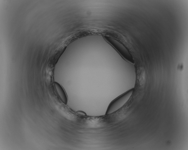 X0000111580235200907161204