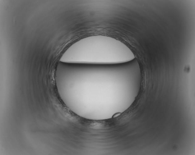 X0000111580236200907161204