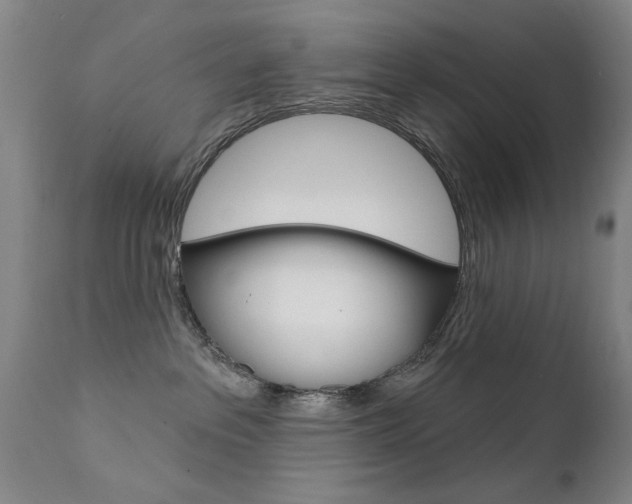 X0000111580237200907161204