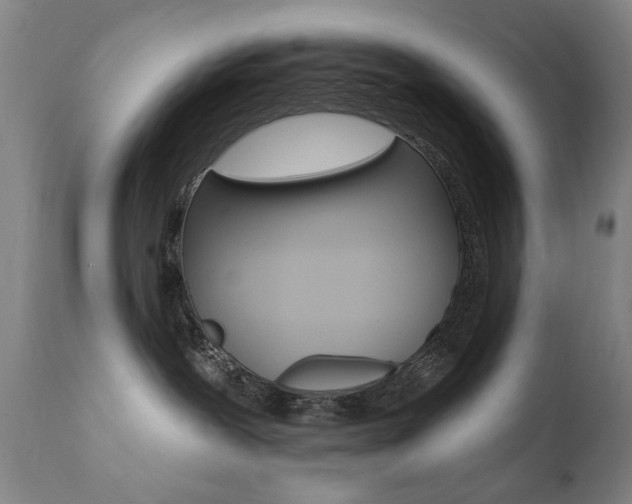 X0000111580239200907161204