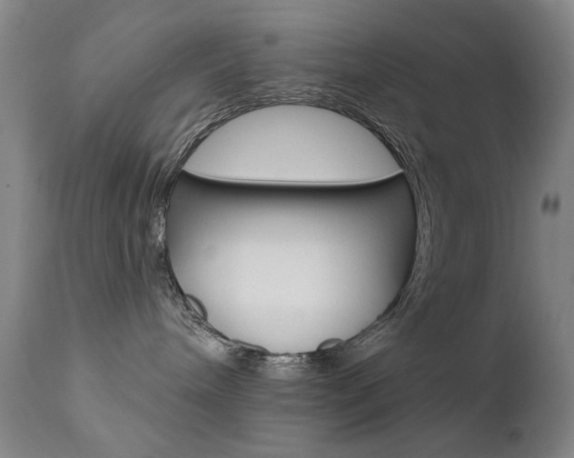 X0000111580240200907161204