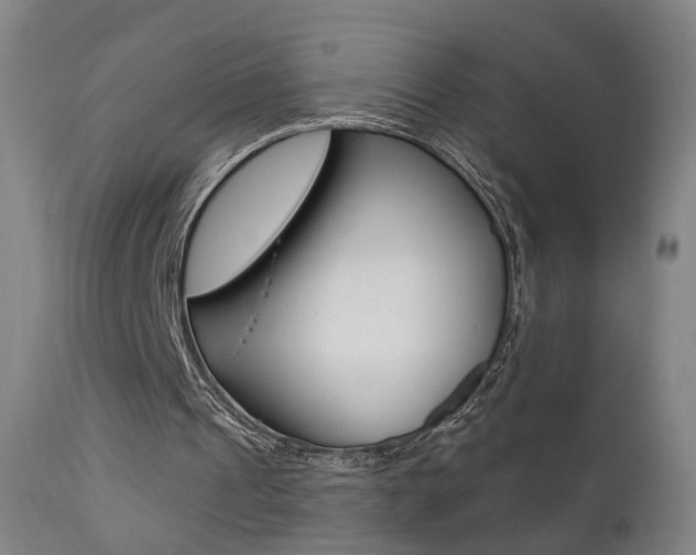 X0000111580241200907161203