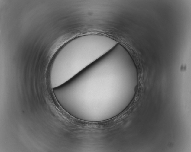 X0000111580242200907161203