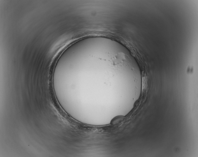 X0000111580243200907161203