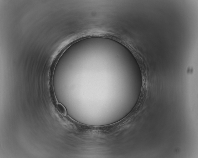 X0000111580244200907161203
