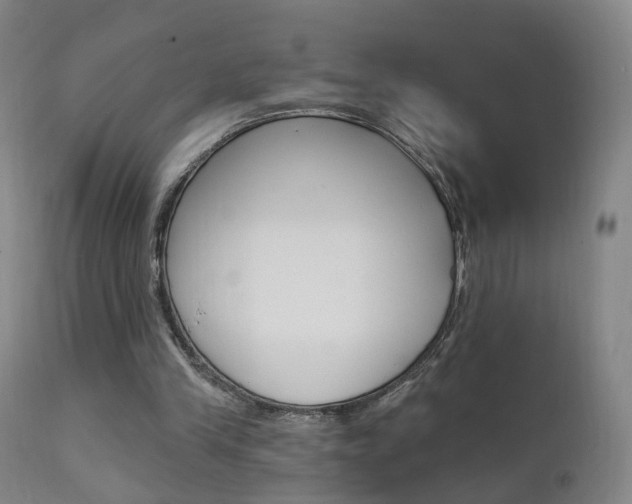 X0000111580245200907161203