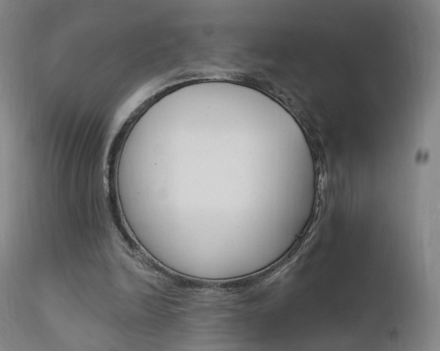 X0000111580246200907161203
